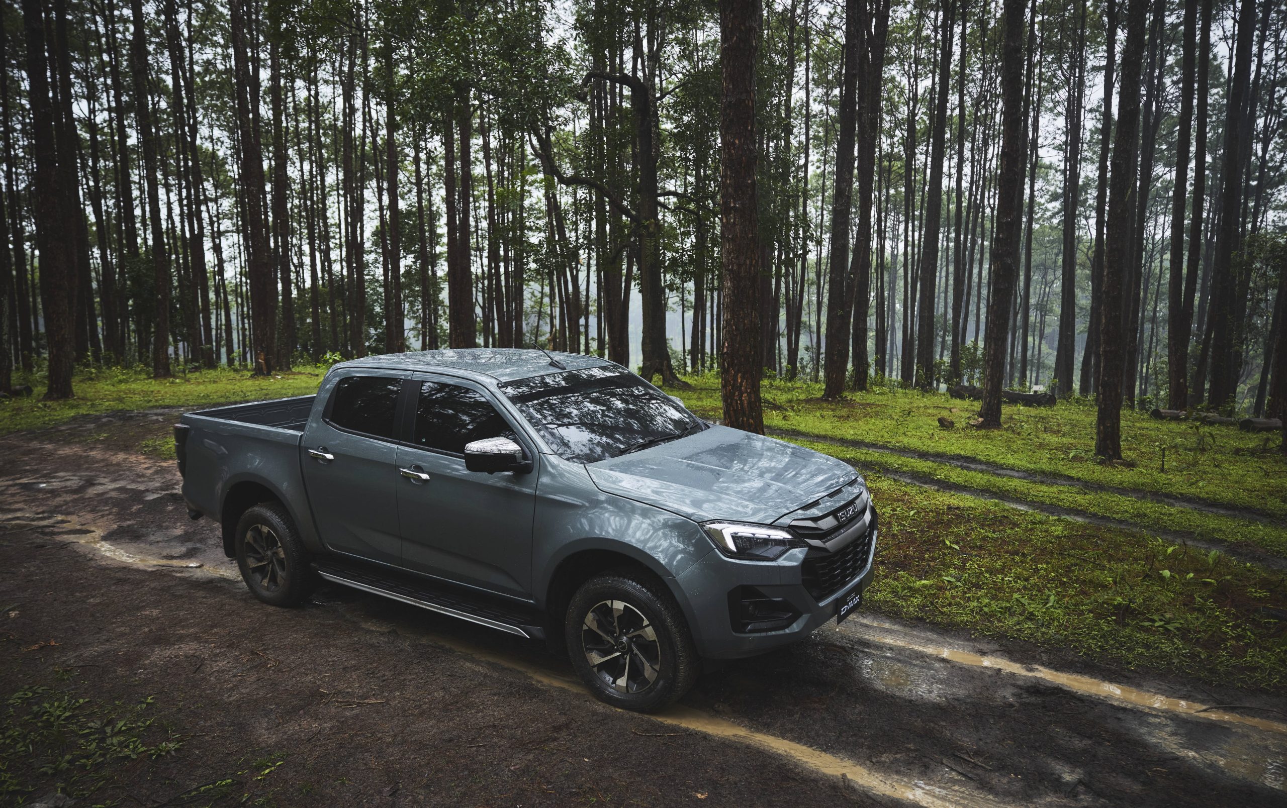 Isuzu D-Max în pădure